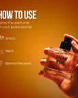 Dreamwood | 50 ml EDP